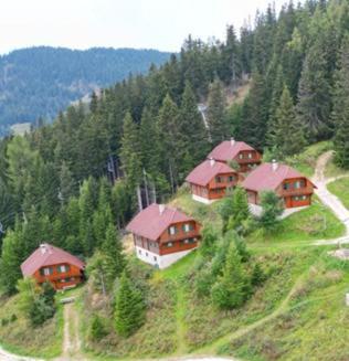 Almhuettendorf Klippitztoerl Klippitztorl Екстер'єр фото